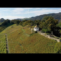 Felswein Chardonnay 2018 AOC - Weingut Tobias - Limitiert