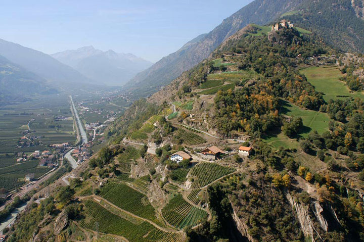 Kellerei Falkenstein - Südtirol - Italien