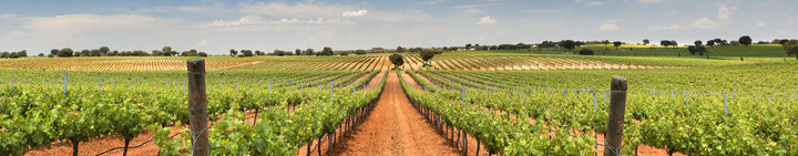 Weinwelt Spanien