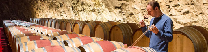 Weingut Laimburg - Südtirol - Italien