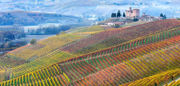 Weine aus dem Piemonte - Italien