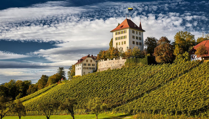 Weinbau im Kanton Luzern