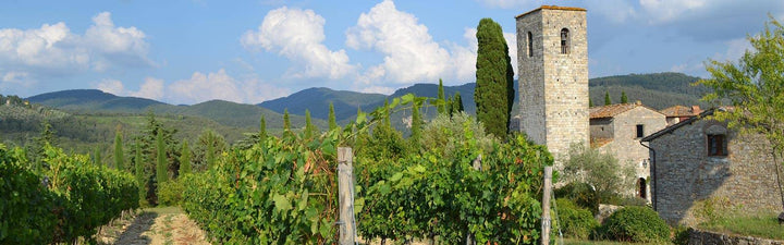 Toskana – die wichtigste Weinbauregion Italiens