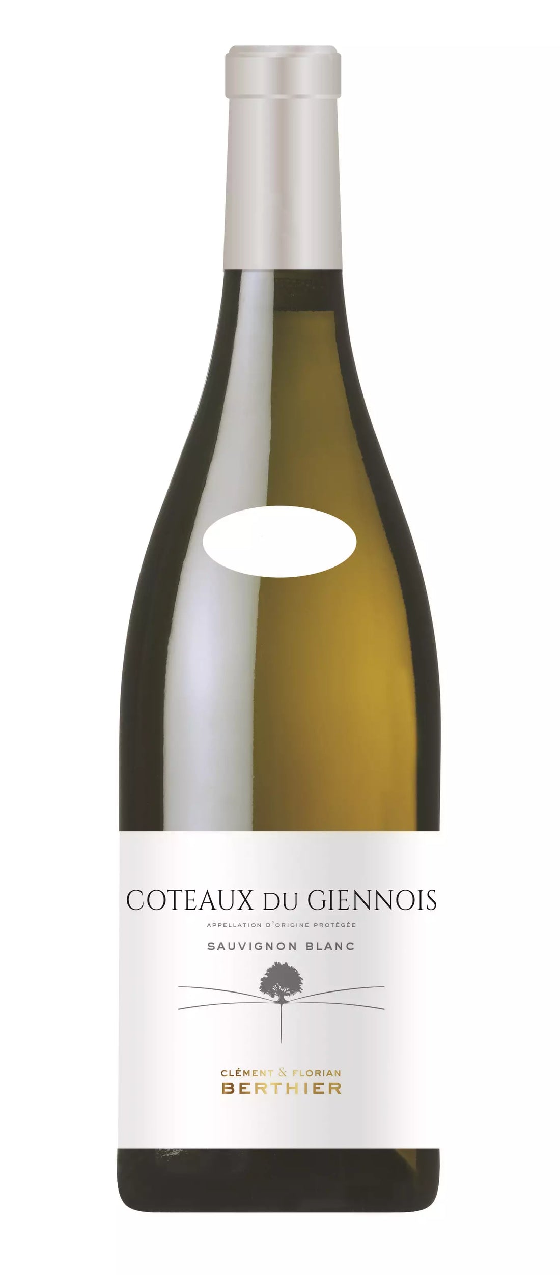 Coteaux du Giennois 2020 - Vignobles Berthier - MeineWeine.ch