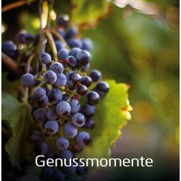 MeineWeine.ch Gutschein - MeineWeine.ch