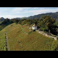 Felswein Chardonnay 2018 - Weingut Tobias - Limitiert